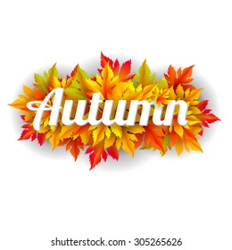 Autumn vector leaves text blurred background with shadow