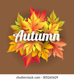 Autumn vector leaves text blurred background with shadow