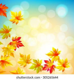 Autumn vector leaves text blurred background with shadow