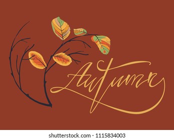 Autumn, vector lettering.Composition of autumn leaves and twigs on red brown background.