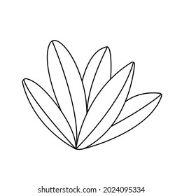 Autumn vector line hand - drawn leaves. EPS10