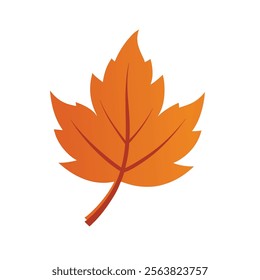 autumn vector on white background 