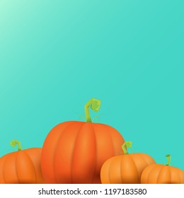 autumn vector orange pumpkins border design template for banners and thanksgiving day backgrounds. vector Pile of pumpkins frame isolated on azure background