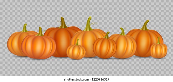 autumn vector orange pumpkins border design template for banners and thanksgiving day backgrounds. vector Pile of pumpkins frame isolated on isolated on transparent background