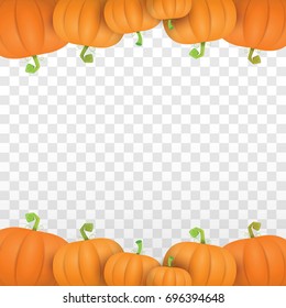 autumn vector orange pumpkins border design template for banners and thanksgiving day backgrounds. vector Pile of pumpkins frame isolated on isolated on transparent background