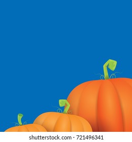 autumn vector orange pumpkins border design template for banners and thanksgiving day backgrounds. vector Pile of pumpkins frame isolated on isolated on blue background