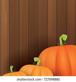 autumn vector orange pumpkins border design template for banners and thanksgiving day backgrounds. vector Pile of pumpkins frame laying on wooden table background