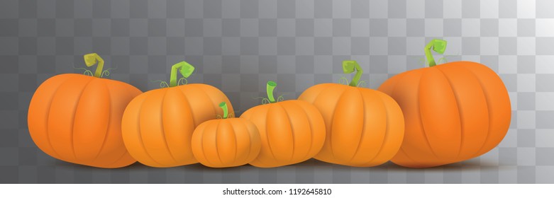autumn vector orange pumpkins horizontal banner design template for farm market banner and thanksgiving day background. vector Pile of orange pumpkin frame or border isolated on transparent background
