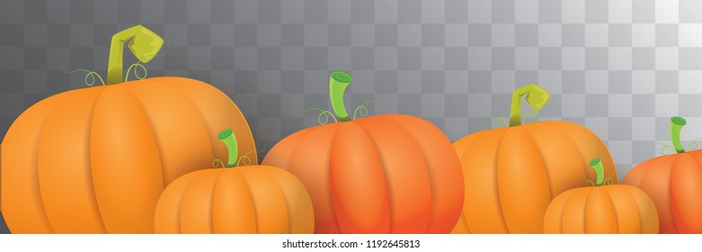 autumn vector orange pumpkins horizontal banner design template for farm market banner and thanksgiving day background. vector Pile of orange pumpkin frame or border isolated on transparent background