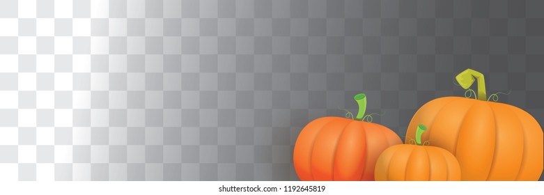 autumn vector orange pumpkins horizontal banner design template for farm market banner and thanksgiving day background. vector Pile of orange pumpkin frame or border isolated on transparent background