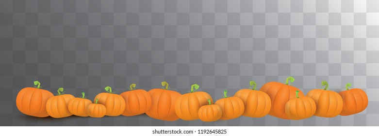 autumn vector orange pumpkins horizontal banner design template for farm market banner and thanksgiving day background. vector Pile of orange pumpkin frame or border isolated on transparent background