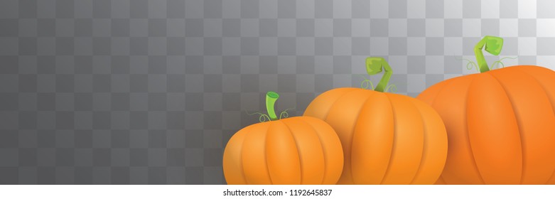 autumn vector orange pumpkins horizontal banner design template for farm market banner and thanksgiving day background. vector Pile of orange pumpkin frame or border isolated on transparent background