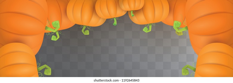 autumn vector orange pumpkins horizontal banner design template for farm market banner and thanksgiving day background. vector Pile of orange pumpkin frame or border isolated on transparent background