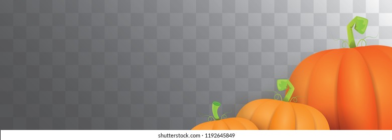 autumn vector orange pumpkins horizontal banner design template for farm market banner and thanksgiving day background. vector Pile of orange pumpkin frame or border isolated on transparent background