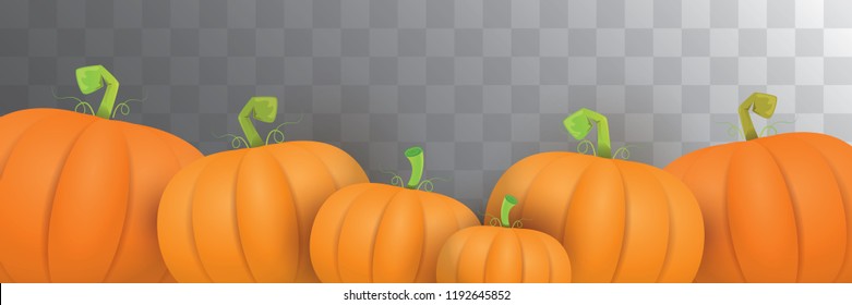 40+ Clipart Horizontal Pumpkin Border Halloween Banner Pictures
