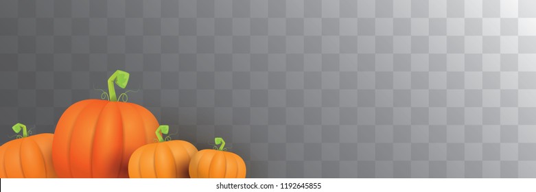 autumn vector orange pumpkins horizontal banner design template for farm market banner and thanksgiving day background. vector Pile of orange pumpkin frame or border isolated on transparent background