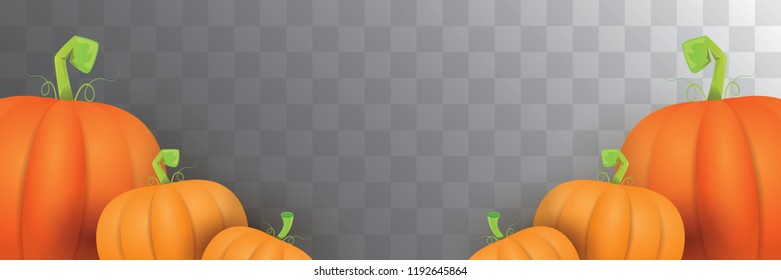 autumn vector orange pumpkins horizontal banner design template for farm market banner and thanksgiving day background. vector Pile of orange pumpkin frame or border isolated on transparent background