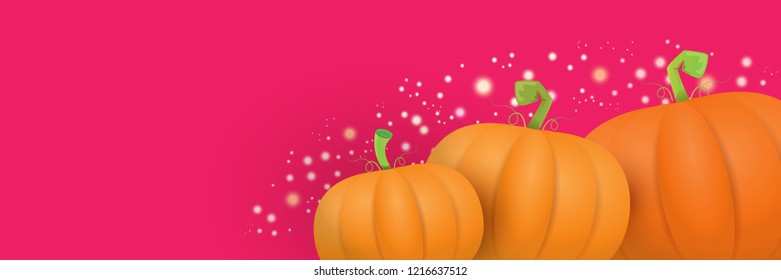 autumn vector orange pumpkins horizontal banner design template for farm market banners and thanksgiving day backgrounds. vector Pile of orange pumpkins frame or border on pink background