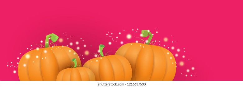 autumn vector orange pumpkins horizontal banner design template for farm market banners and thanksgiving day backgrounds. vector Pile of orange pumpkins frame or border on pink background