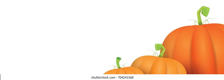 autumn vector orange pumpkins horizontal banner design template for farm market banners and thanksgiving day backgrounds. vector Pile of orange pumpkins frame or border isolated on white background