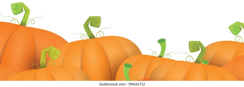 autumn vector orange pumpkins horizontal banner design template for farm market banners and thanksgiving day backgrounds. vector Pile of orange pumpkins frame or border isolated on white background