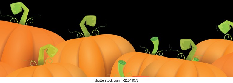 autumn vector orange pumpkins horizontal banner design template for farm market banners and thanksgiving day backgrounds. vector Pile of orange pumpkins frame or border isolated on black background