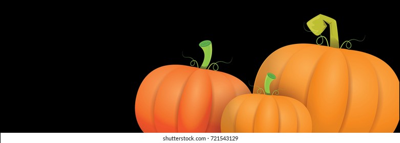 autumn vector orange pumpkins horizontal banner design template for farm market banners and thanksgiving day backgrounds. vector Pile of orange pumpkins frame or border isolated on black background