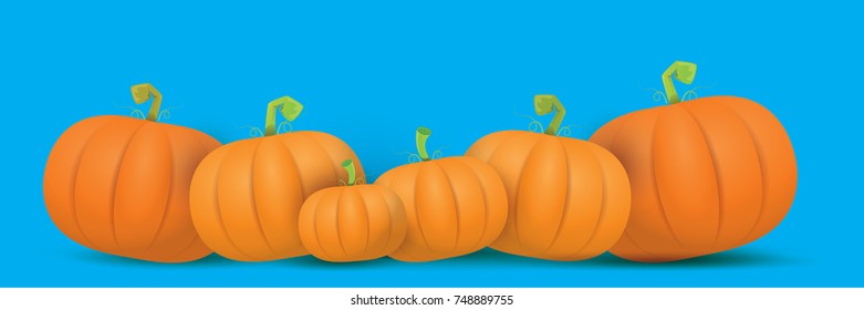 autumn vector orange pumpkins horizontal banner design template for farm market banners and thanksgiving day backgrounds. vector Pile of orange pumpkins frame or border on blue sky background
