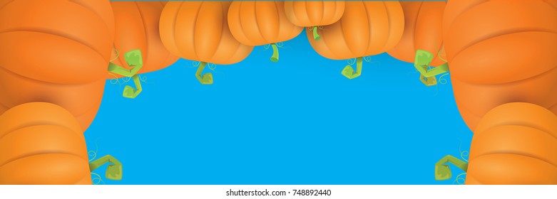 autumn vector orange pumpkins horizontal banner design template for farm market banners and thanksgiving day backgrounds. vector Pile of orange pumpkins frame or border on blue sky background