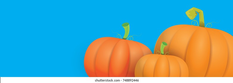 autumn vector orange pumpkins horizontal banner design template for farm market banners and thanksgiving day backgrounds. vector Pile of orange pumpkins frame or border on blue sky background
