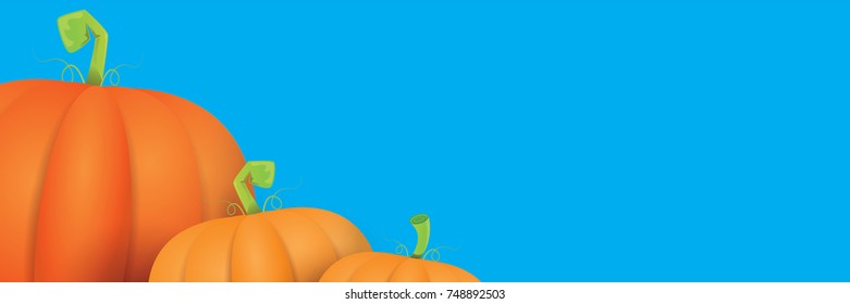 autumn vector orange pumpkins horizontal banner design template for farm market banners and thanksgiving day backgrounds. vector Pile of orange pumpkins frame or border on blue sky background