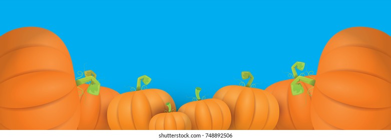 autumn vector orange pumpkins horizontal banner design template for farm market banners and thanksgiving day backgrounds. vector Pile of orange pumpkins frame or border on blue sky background