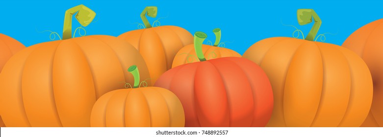 autumn vector orange pumpkins horizontal banner design template for farm market banners and thanksgiving day backgrounds. vector Pile of orange pumpkins frame or border on blue sky background