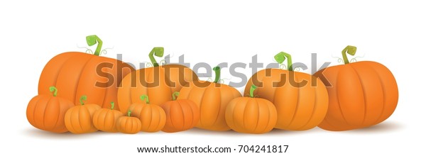 autumn vector orange pumpkins horizontal
banner design template for farm market banners and thanksgiving day
backgrounds. vector Pile of orange pumpkins frame or border
isolated on white
background