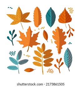 Autumn vector pack of bright colorful leaves