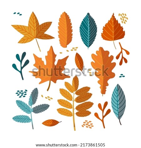 Autumn vector pack of bright colorful leaves