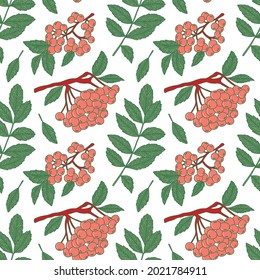 Autumn vector pattern of rowan berries on the branches. Colorful seamless illustration on a botanical theme for printing on fabric, packaging, textiles and wallpaper. 