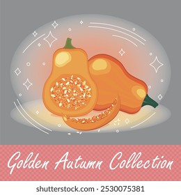 Autumn vector Pumpkins illustrations, featuring cozy orange pumpkin, pumpkin slices and pumpkin seeds