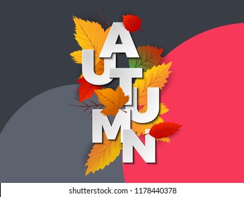 Autumn Vector Sale Background Decorated with leaves for Sale Banner, Flyer, Post, Poster, Leaflet, Brochure.