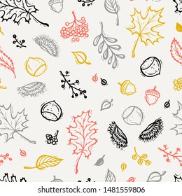Autumn Vector Seamless Pattern. Hand Drawn Doodle Different Tree Leaves, Chestnuts, Rowan, Flowers and Berries. Happy Thanksgiving Day Greeting Background