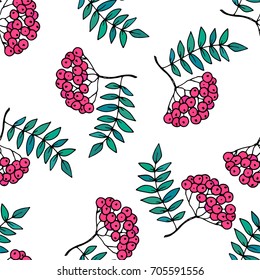 Autumn vector seamless pattern with pink rowan. Vector illustration on white background.