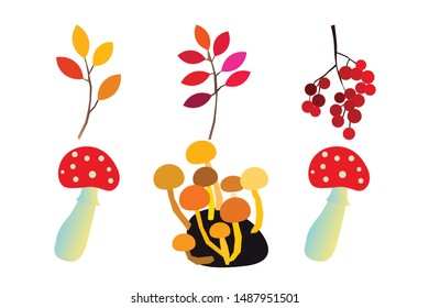 Autumn vector set with berries leaves branches mushrooms and acorns. Seasonal fall collection.