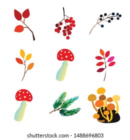 Autumn vector set with berries leaves branches mushrooms and acorns. Seasonal fall collection.