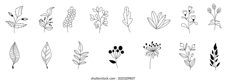 Autumn vector set of black branches and herbs