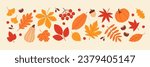 Autumn vector set of bright colourful fall leaves, pumpkins, berries, apple, acorn and chestnut in flat minimal style.