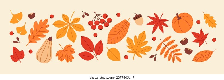 Autumn vector set of bright colourful fall leaves, pumpkins, berries, apple, acorn and chestnut in flat minimal style.