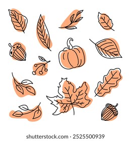 Autumn vector set of bright colourful fall leaves, pumpkins, berries, acorn in flat minimal style. Fall design on white background