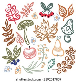 Autumn vector set calm colors harvest mushrooms fruits apple leaves boho pear berries August September October November