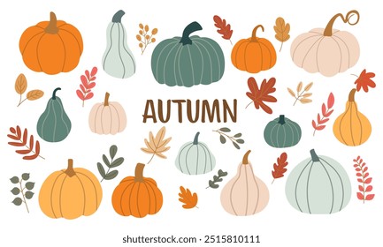 Autumn vector set of colorful various pumpkins, leaves, plants in flat style.	