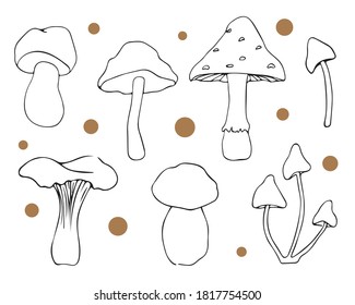 Autumn vector Set  with different mushrooms like a fly agaric, toadstool, chanterelle, boletus in doodle style. Black and white contour elements of Fall atmosphere. Botanical illustrations.